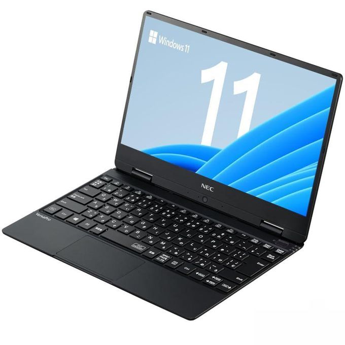 cleistocactus cleistocactus