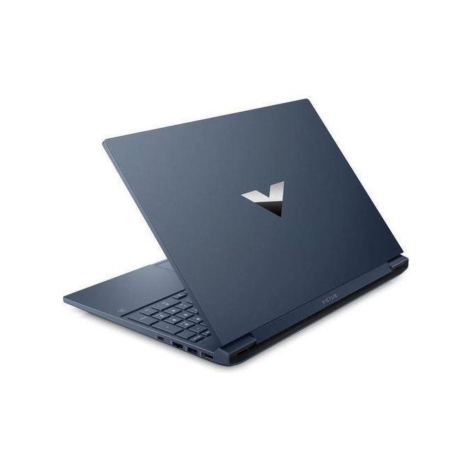 ball cactus ball cactus