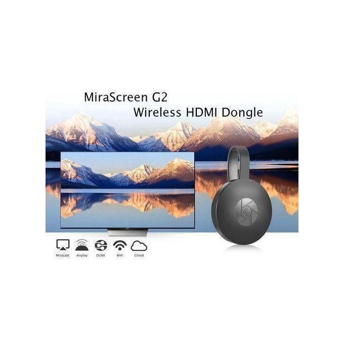 money plant money plant